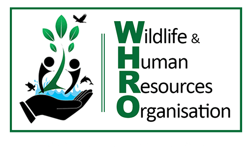 WHRO Logo